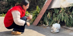 “喵星”驿站：一位平安志愿者的四百天守护日志