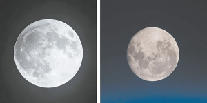 全球看的月亮，都是一个样吗？